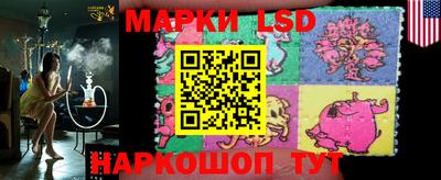 стафф Донской