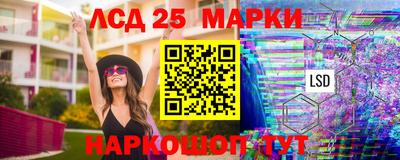 стафф Донской