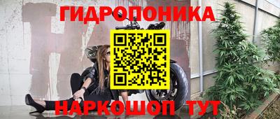 стафф Донской