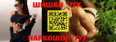 СК Дубна
