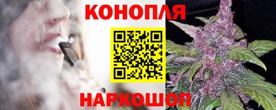 СК Дубна