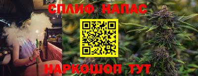 СК Дубна