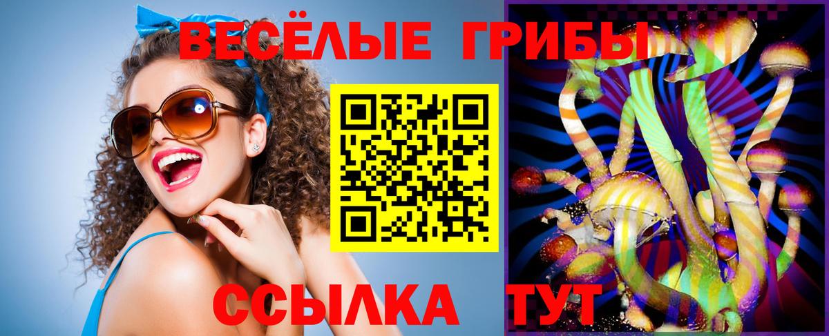Псилоцибиновые грибы Psilocybe Людиново