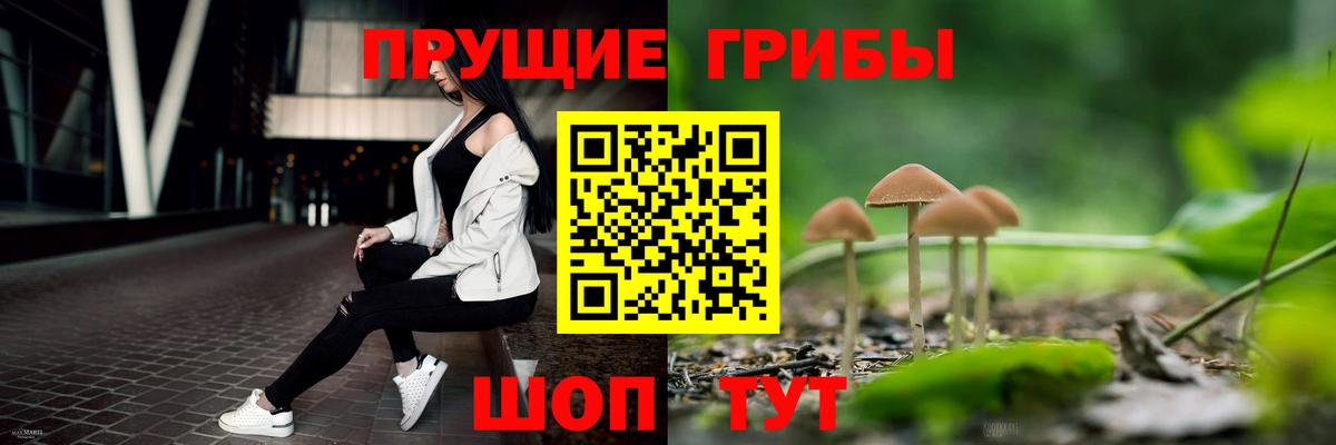 Галлюциногенные грибы Magic Shrooms  Вход с VPN  Людиново  Галлюциногенные грибы мухоморы 